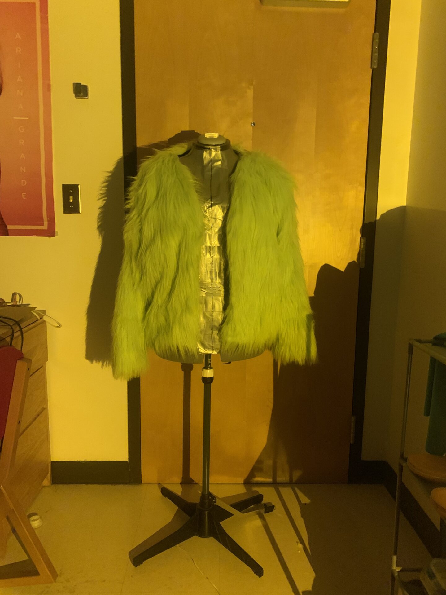 Lime Green Faux Fur Jacket & Lining, 2021