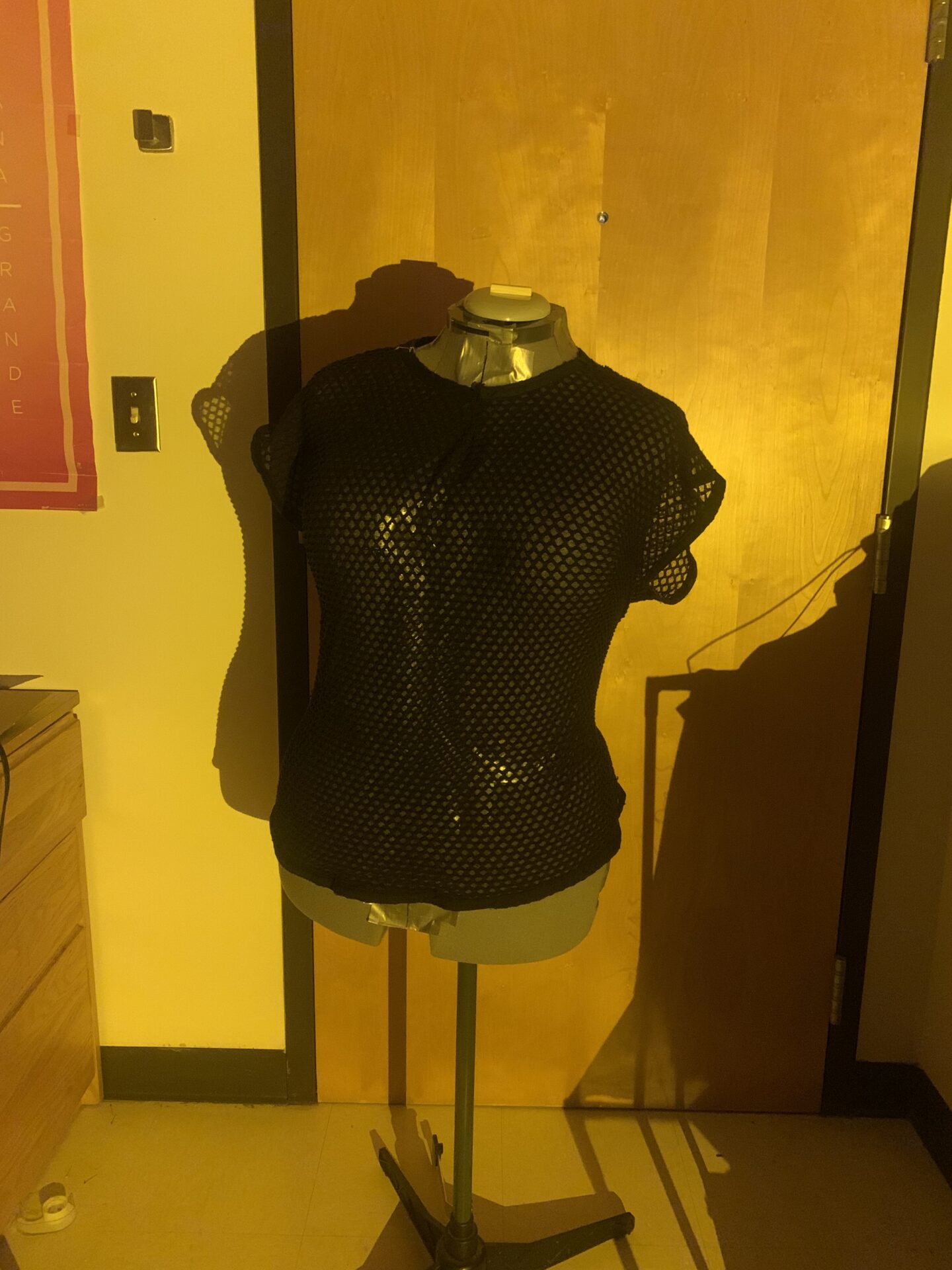 Mesh Top With Bias Binding, 2022